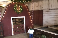 Christmas on the Farm
