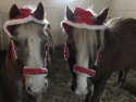 santas-b-team-hathaway-farm-2