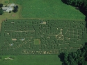 maze8-6-5
