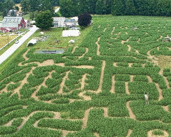 Hathaway Farm & Corn Maze includes a 13-acre corn maze, located in Rutland, VT