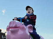 Hathaway Farm Ride-On Pig Races